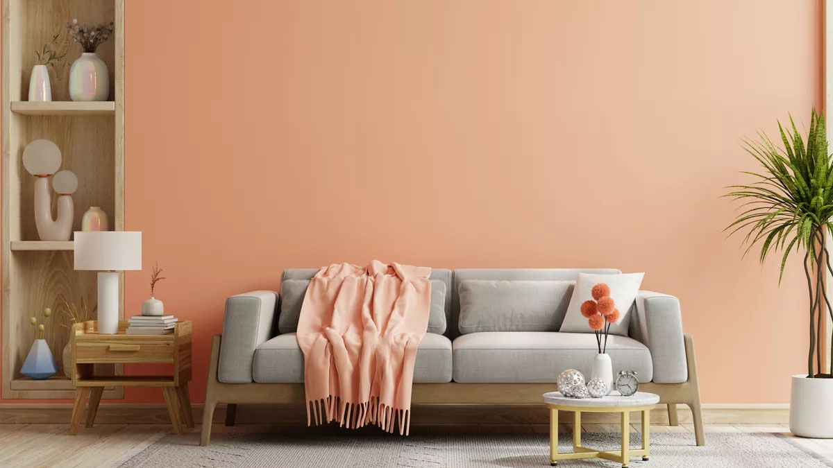 they-will-not-leave-remainder-or-hurt-your-walls